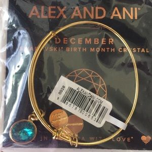 Alex and Ani Birth Month Bracelet (December)